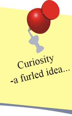 Curiosity- a furled idea...