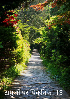 टापुओं पर पिकनिक- 13