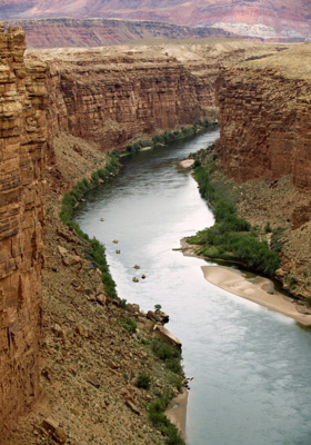 ବିଶାଳୋତ୍କୋଳ 