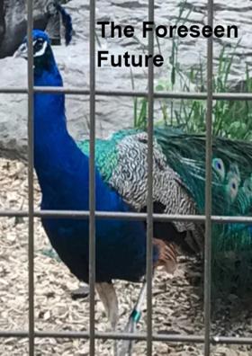 The Foreseen Future