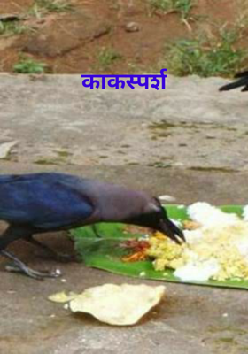 काकस्पर्श