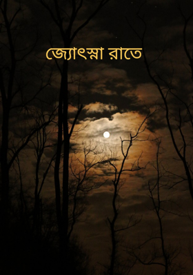 জ্যোৎস্না রাতে