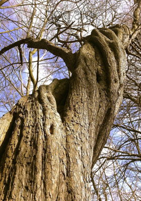 ଅତୃପ୍ତ ଆତ୍ମା