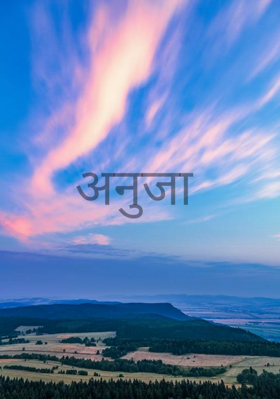 अनुजा