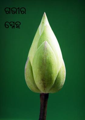 ଗଭୀର  ସ୍ନେହ