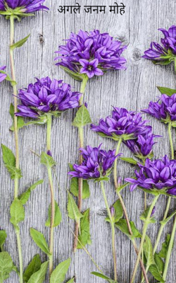 अगले जनम मोहे