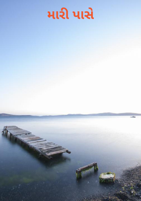 મારી પાસે