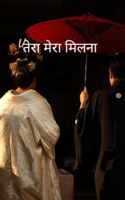 तेरा मेरा मिलना