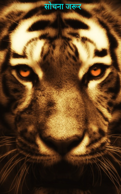 सोचना जरूर