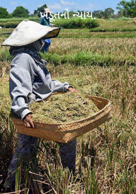 ખેડૂતનો ન્યાય