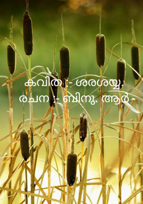 കവിത :- ശരശയ്യ.രചന :- ബിനു. ആർ