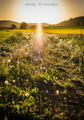 પ્રજ્ઞાચક્ષુ - જગ અંતરચક્ષુમા