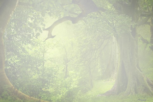 विश्राम

दोपहर की झपकी

दिन भर 
जलकर
दिनकर
मध्यांतर
में करते
हैं विश्राम
फिर जाते
अस्ताचल
अश्वगामी
अभिराम

देवश्री गोयल जगदलपुर