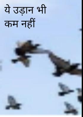 ये उड़ान भी कम नहीं