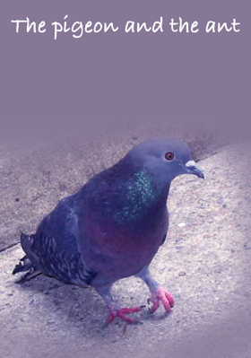 The pigeon and the ant