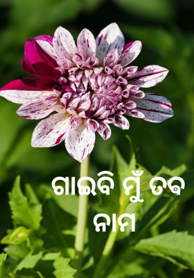 ଗାଇବି ମୁଁ ତଵ ନାମ