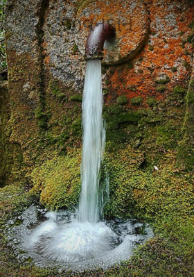 જીવનદાન