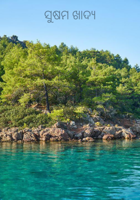 ସୁଷମ ଖାଦ୍ୟ