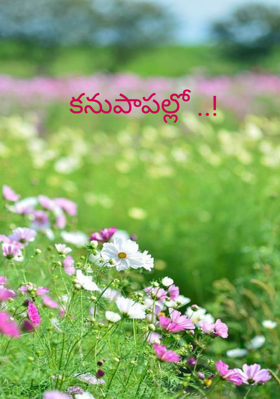 కనుపాపల్లో ..!