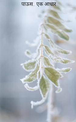 पाऊस.. एक आधार