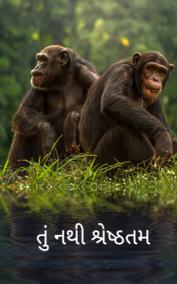 તું નથી શ્રેષ્ઠતમ