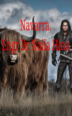 Navarra. Engr Dr Naila Hina