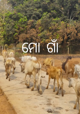 ମୋ ଗାଁ