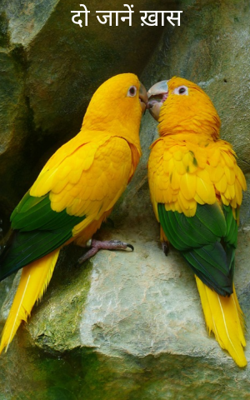 दो जानें ख़ास