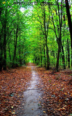 सफलता या शॉर्टकट 