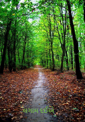 લગામ દઈએ