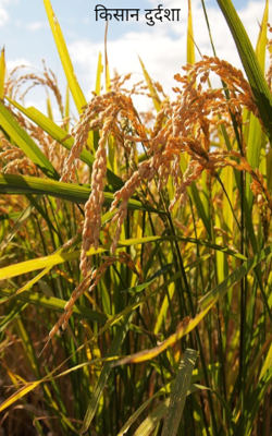 किसान दुर्दशा