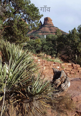 मेरा गाँव