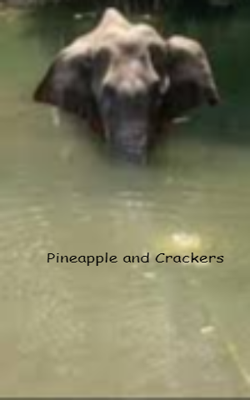 Pineapple and Crackers