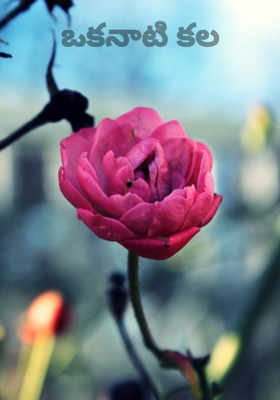 ఒకనాటి కల