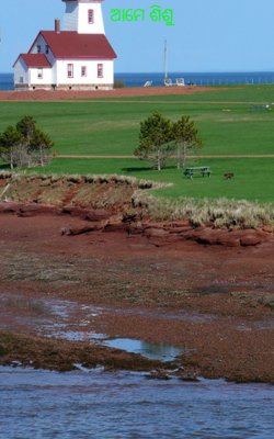 ଆମେ ଶିଶୁ