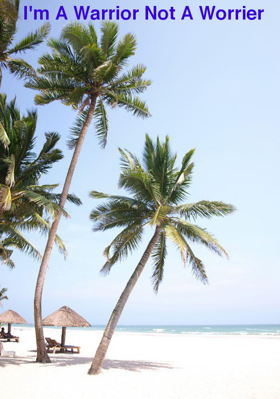 I'm A Warrior Not A Worrier