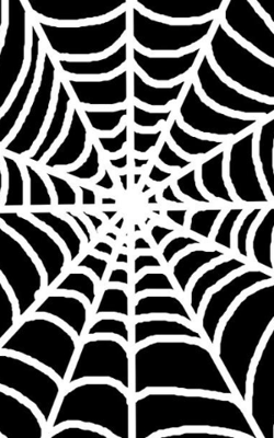 Bruce and the Spider