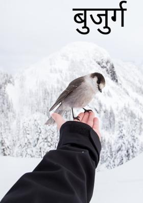 बुजुर्ग