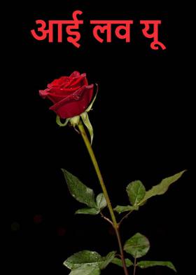 आई लव यू