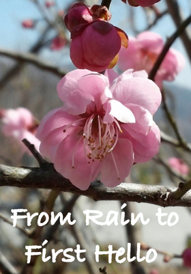 From Rain to First Hello 