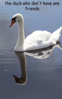 The duck who doesn't have any friends