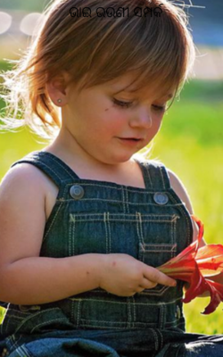 ଭାଇ ଭଉଣୀ ସମ୍ପର୍କ