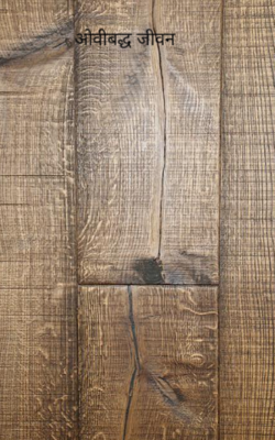 ओवीबद्ध जीवन