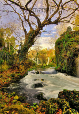 புத்தாண்டு