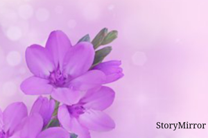 मेरी हर मुश्किल के हल तेरे पास खुद चल के आते है,
तेरी ममता की लौ के आगे मेरे हर गम पिघल जाते है,
तेरी मुस्कुराहट ही तो मेरी जन्नत है मां।
और जो मेरी वजह से तू खिल खिला दे, मेरे सारे पाप वही धुल जाते है।

