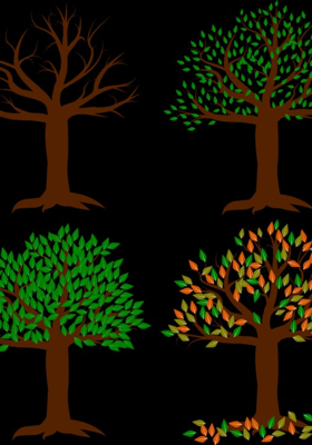 മുല്ലപ്പൂവ്