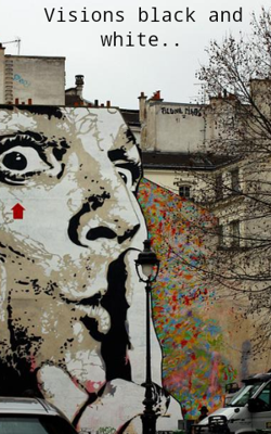 Visions black and white..