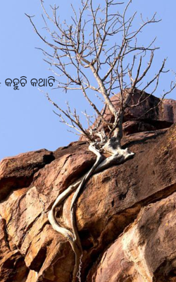 କହୁଚି କଥାଟି