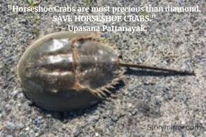 "Horseshoe Crabs are most precious than diamond.
SAVE HORSESHOE CRABS."
- Upasana Pattanayak.