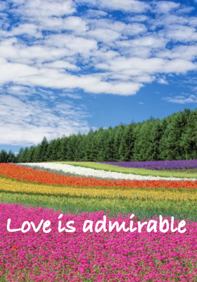Love Is Admirable